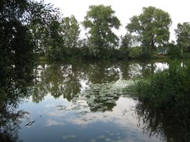 Labe 20 mezi Lysou a Kerskem-12.7.09 (2).JPG